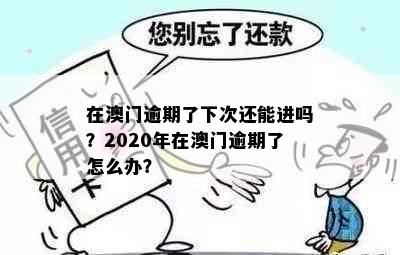 在逾期了下次还能进吗？2020年在逾期了怎么办？