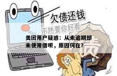 美团用户疑惑：从未逾期却未使用借呗，原因何在？