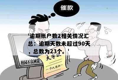 '逾期账户数2相关情况汇总：逾期天数未超过90天，总数为23个。'