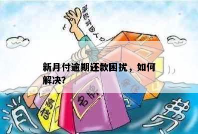 新月付逾期还款困扰，如何解决？