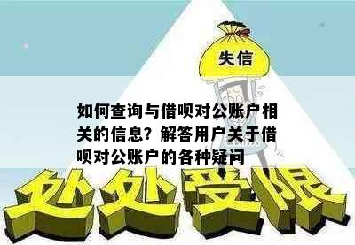 如何查询与借呗对公账户相关的信息？解答用户关于借呗对公账户的各种疑问