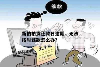 新拍拍贷还款日逾期，无法按时还款怎么办？