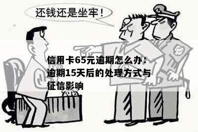 信用卡65元逾期怎么办：逾期15天后的处理方式与影响