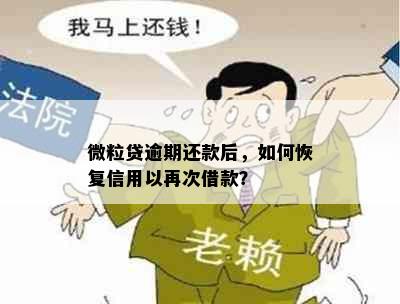 微粒贷逾期还款后，如何恢复信用以再次借款？