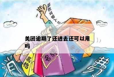 美团逾期了还进去还可以用吗