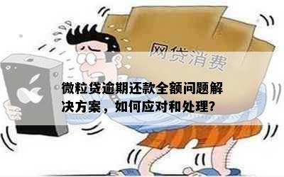 微粒贷逾期还款全额问题解决方案，如何应对和处理？