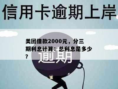 美团借款2000元，分三期利息计算：总利息是多少？