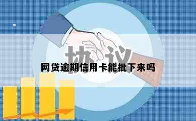 网贷逾期信用卡能批下来吗