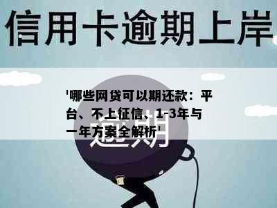 '哪些网贷可以期还款：平台、不上、1-3年与一年方案全解析'