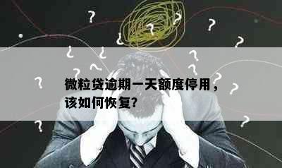 微粒贷逾期一天额度停用，该如何恢复？