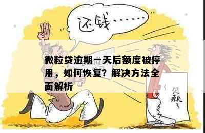 微粒贷逾期一天后额度被停用，如何恢复？解决方法全面解析