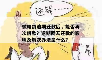 微粒贷逾期还款后，能否再次借款？逾期两天还款的影响及解决办法是什么？