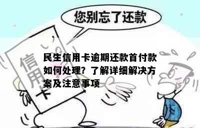 民生信用卡逾期还款首付款如何处理？了解详细解决方案及注意事项