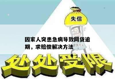 因家人突患急病导致网贷逾期，求赔偿解决方法