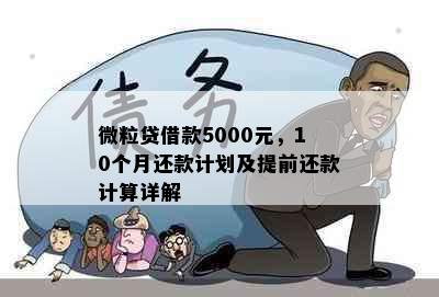 微粒贷借款5000元，10个月还款计划及提前还款计算详解