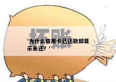 '为什么信用卡已还款却显示未还？'