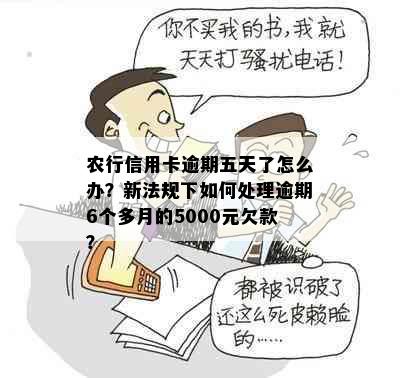 农行信用卡逾期五天了怎么办？新法规下如何处理逾期6个多月的5000元欠款？