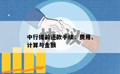 中行提前还款手续：费用、计算与金额