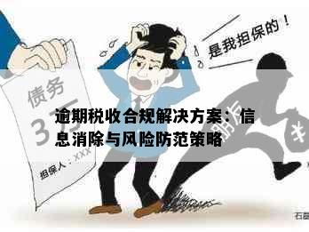 逾期税收合规解决方案：信息消除与风险防范策略