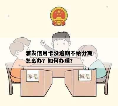 浦发信用卡没逾期不给分期怎么办？如何办理？