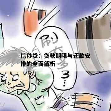 信秒贷：贷款期限与还款安排的全面解析