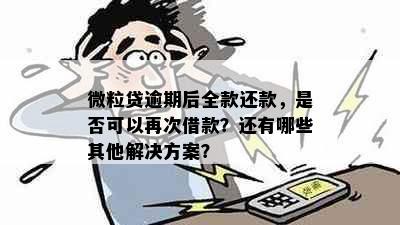 微粒贷逾期后全款还款，是否可以再次借款？还有哪些其他解决方案？