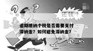 逾期缴纳个税是否需要支付滞纳金？如何避免滞纳金？