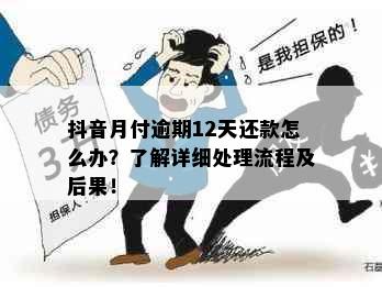 抖音月付逾期12天还款怎么办？了解详细处理流程及后果！