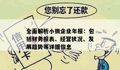 全面解析小微企业年报：包括财务报表、经营状况、发展趋势等详细信息