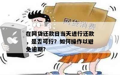 在网贷还款日当天进行还款，是否可行？如何操作以避免逾期？