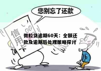 微粒贷逾期60天：全额还款及逾期后处理策略探讨