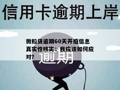 微粒贷逾期60天开庭信息真实性核实：我应该如何应对？