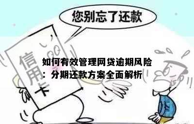 如何有效管理网贷逾期风险：分期还款方案全面解析