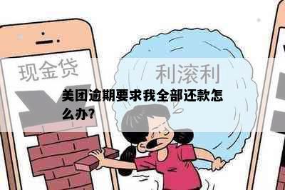 美团逾期要求我全部还款怎么办？