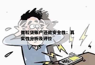 微粒贷账户还款安全性：真实性分析及评价