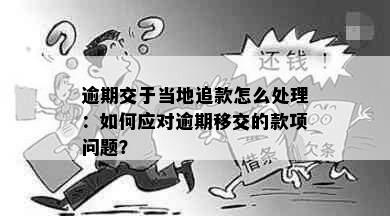 逾期交于当地追款怎么处理：如何应对逾期移交的款项问题？