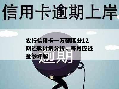 农行信用卡一万额度分12期还款计划分析，每月应还金额详解