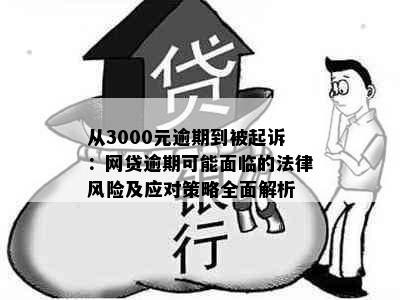 从3000元逾期到被起诉：网贷逾期可能面临的法律风险及应对策略全面解析