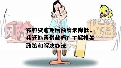 微粒贷逾期后额度未降低，我还能再借款吗？了解相关政策和解决办法