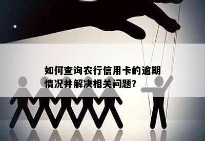 如何查询农行信用卡的逾期情况并解决相关问题？