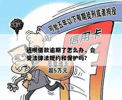 还呗借款逾期了怎么办，会受法律法规约和保护吗？