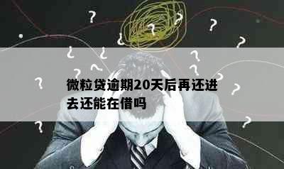 微粒贷逾期20天后再还进去还能在借吗