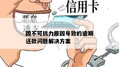 因不可抗力原因导致的逾期还款问题解决方案