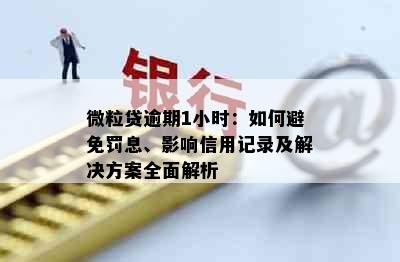 微粒贷逾期1小时：如何避免罚息、影响信用记录及解决方案全面解析