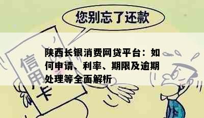 陕西长银消费网贷平台：如何申请、利率、期限及逾期处理等全面解析