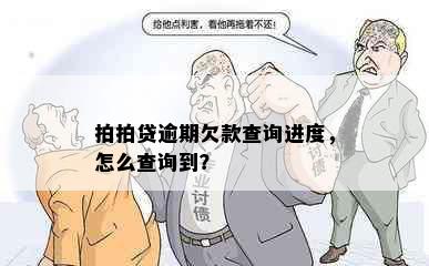 拍拍贷逾期欠款查询进度，怎么查询到？