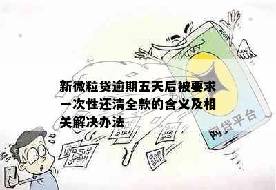 新微粒贷逾期五天后被要求一次性还清全款的含义及相关解决办法