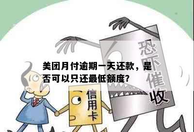 美团月付逾期一天还款，是否可以只还更低额度？