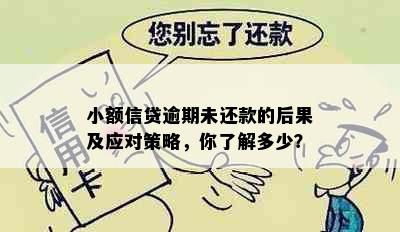 小额信贷逾期未还款的后果及应对策略，你了解多少？