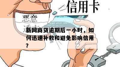 新网商贷逾期后一小时，如何迅速补救和避免影响信用？